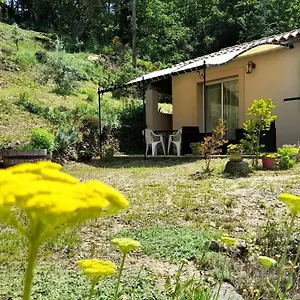 Sittelle , Malaucène France